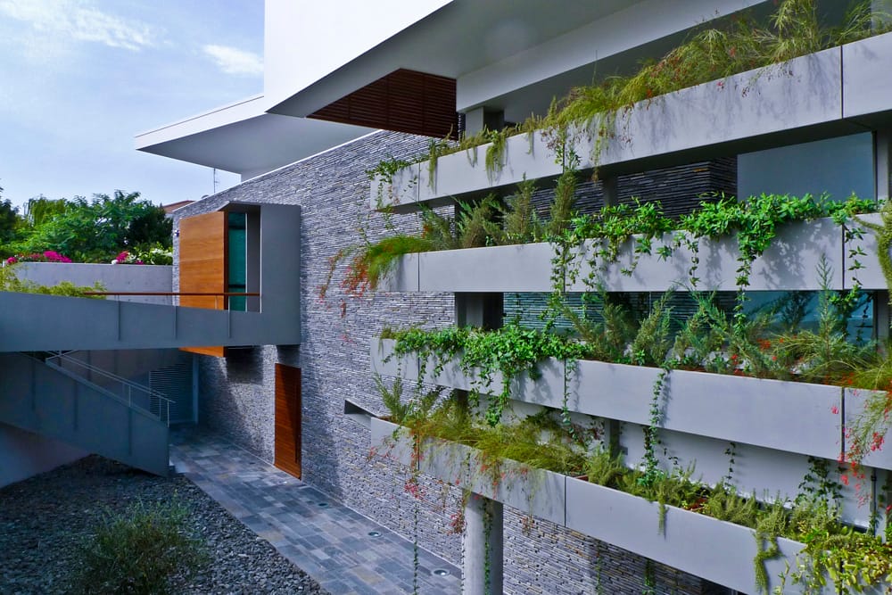 © Ζήνων Σιερεπεκλής