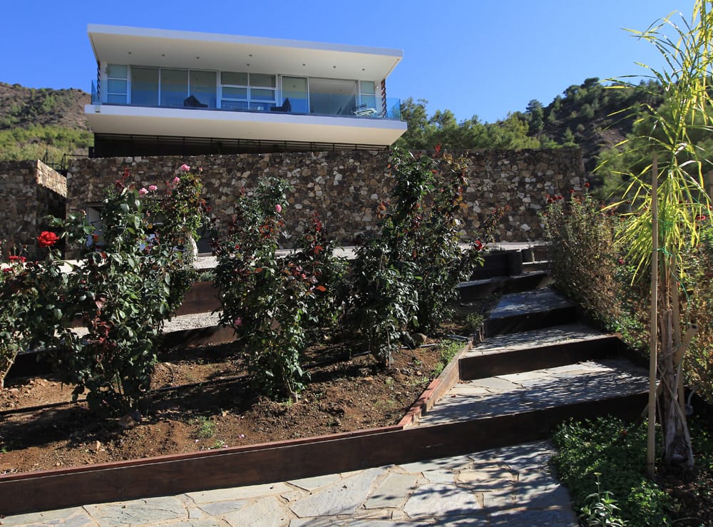 © ΑΝΔΡΕΑΣ ΤΣΙΝΤΟΣ