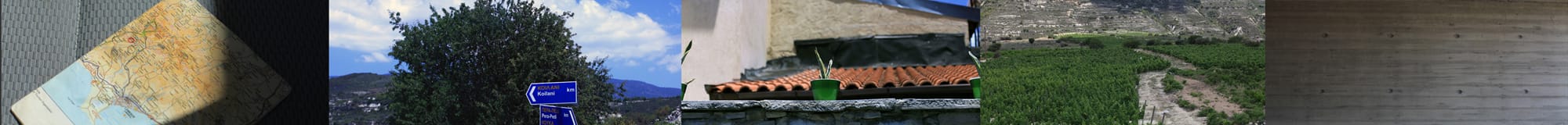 © Κωνσταντή Αφροδίτη