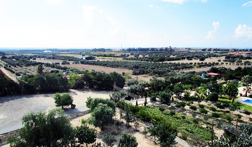 Κολόσσι – η περιοχή νοτίως του κάστρου που δίνεται τώρα για ανάπτυξη, θα είναι ‘’κάτι από τα ίδια;’’ Στο βάθος, οι Β.Β. (που θεωρητικά νοιάζονται για το περιβάλλον) με τις διάσπαρτες κεραίες τους, © φωτο. Α. Μαυρουδή