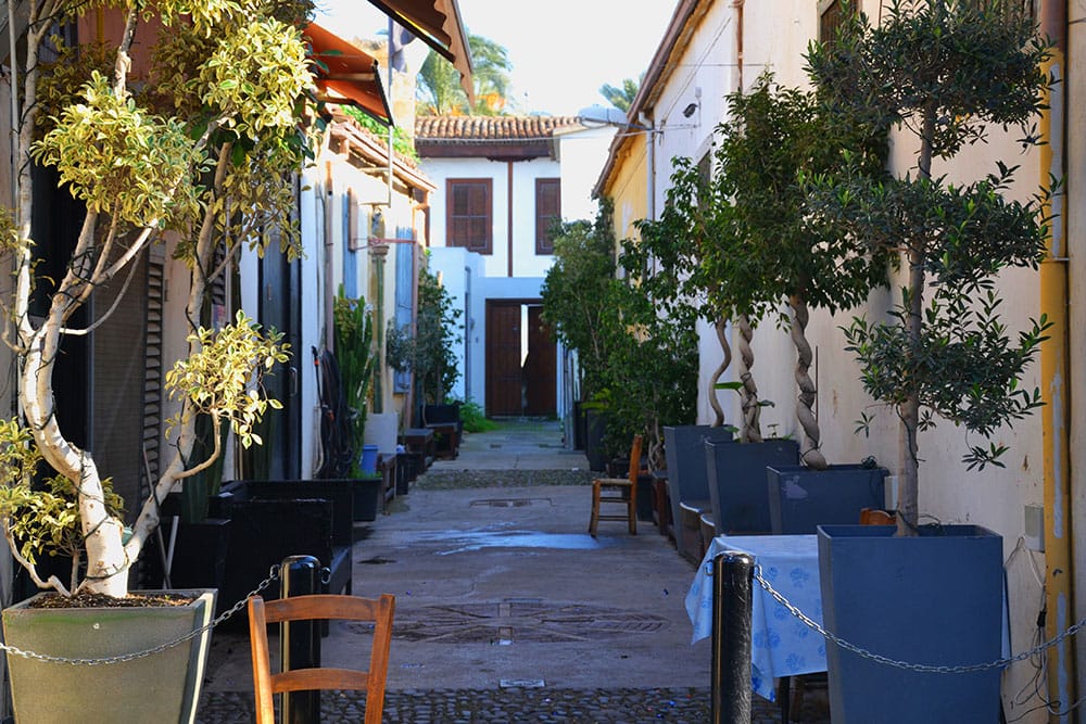 Ένας κρυμμένος πράσινος «παράδεισος» , © Δάφνη-Γεωργία Γεωργιάδη