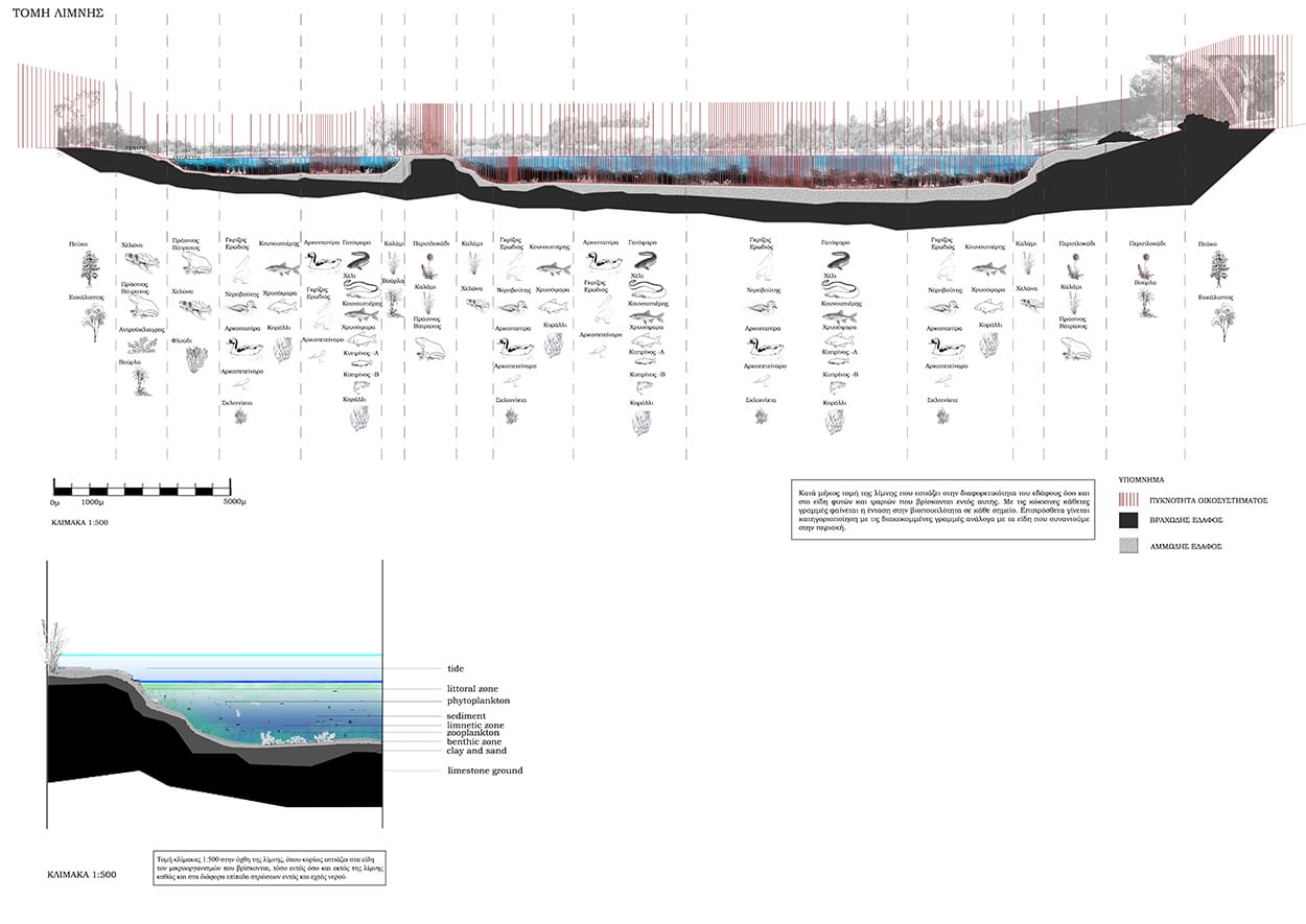 Διαδικασία Αναπαραγωγής Ψαριών και Χωρικών Απαιτήσεων, © Φίλιππος Μιχαήλ - Παναγιώτης Σάββα
