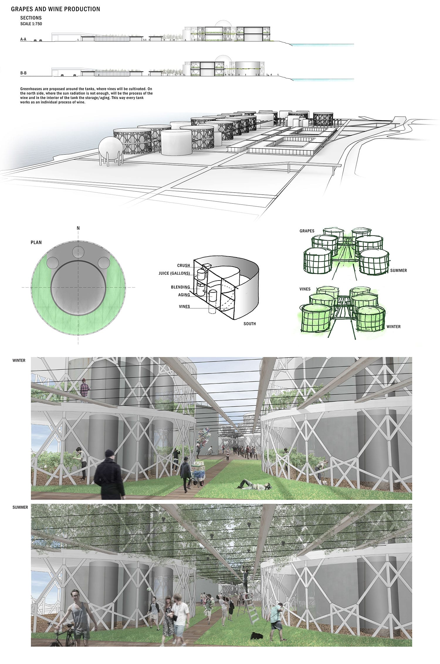 Grapes and wine production, © Andreas Prokopiou
