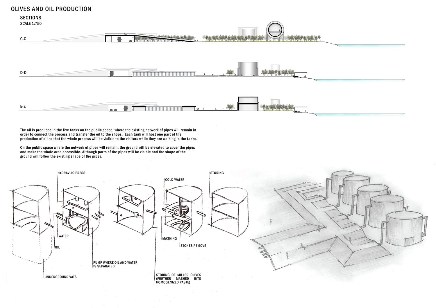 Olives and oil production, © Andreas Prokopiou
